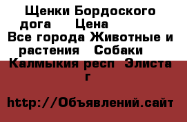 Щенки Бордоского дога.  › Цена ­ 30 000 - Все города Животные и растения » Собаки   . Калмыкия респ.,Элиста г.